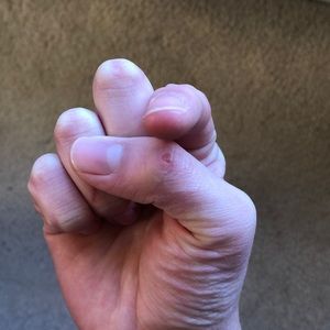 Meet your Posher, Max